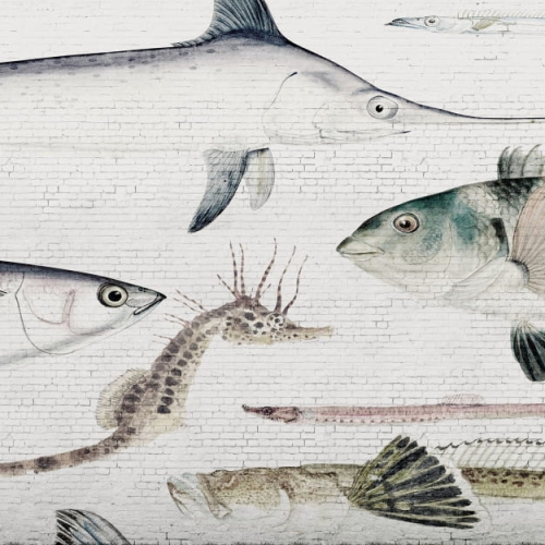 white-brick-wall-fish (2).jpg