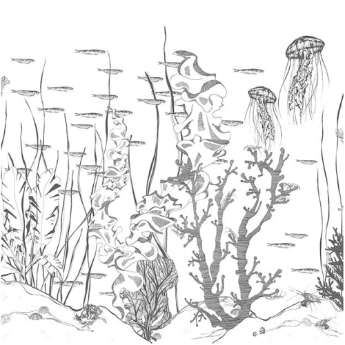 underwater.jpg