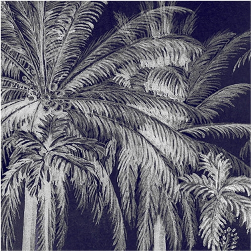 palm-grove-midnight.jpg