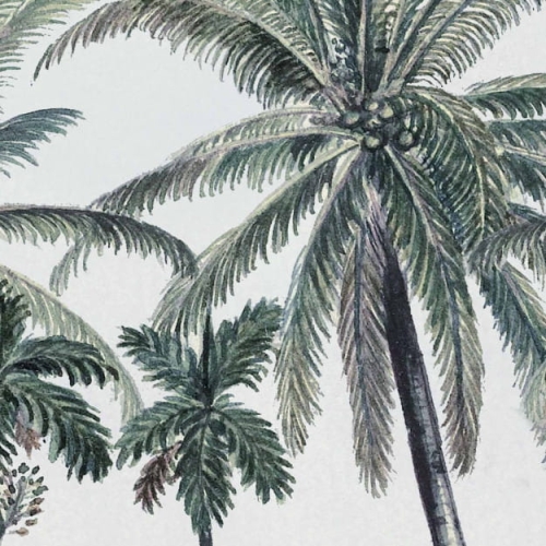 palm-grove (1).jpg