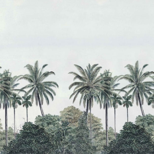 palm-grove.jpg