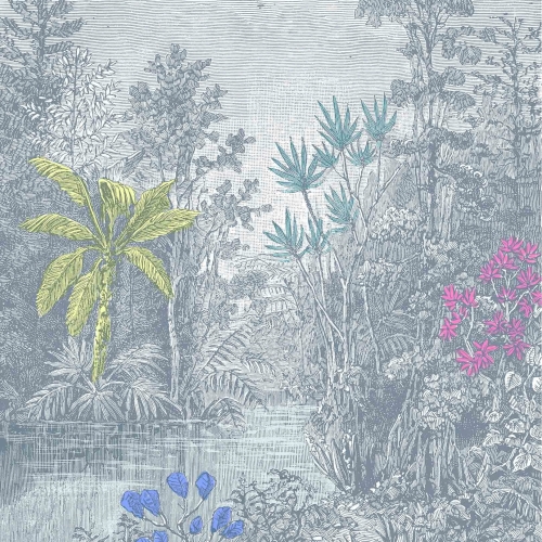 rain-forest (3).jpg