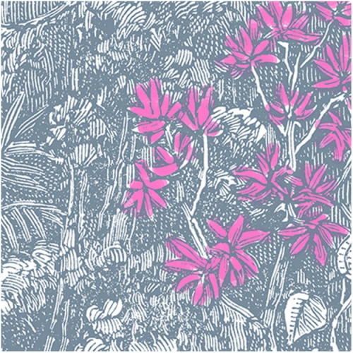 rain-forest (1).jpg