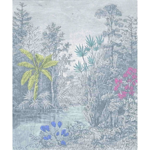 rain-forest.jpg