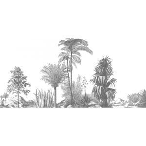 Grafika Les Dominotiers VOLUME 5 Aloes, Grey DOM306/1