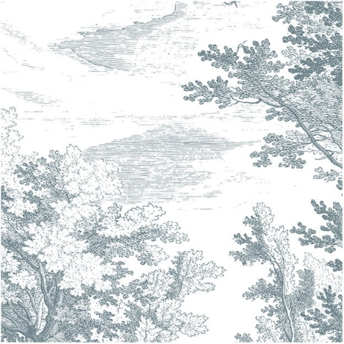 brushwood (2).jpg