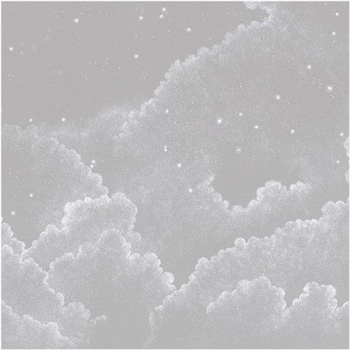 moonlight-grey (2).jpg