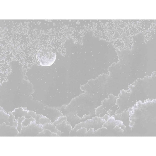 moonlight-grey (1).jpg