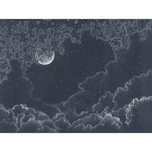 moonlight.jpg
