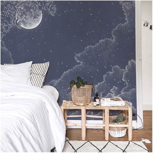 moonlight (2).jpg