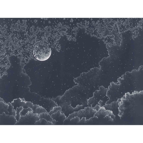 moonlight (3).jpg