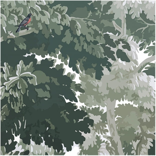 dream-forest-vert (1).jpg
