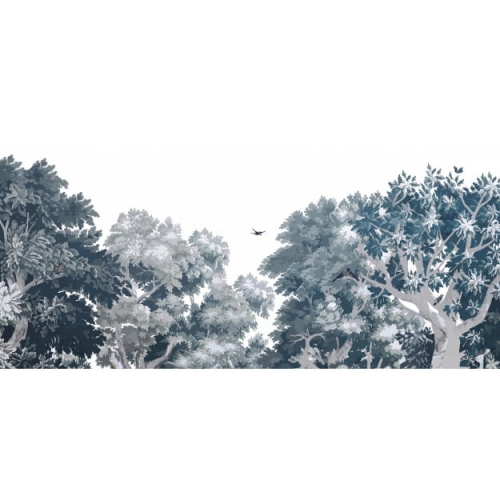 dream-forest.jpg