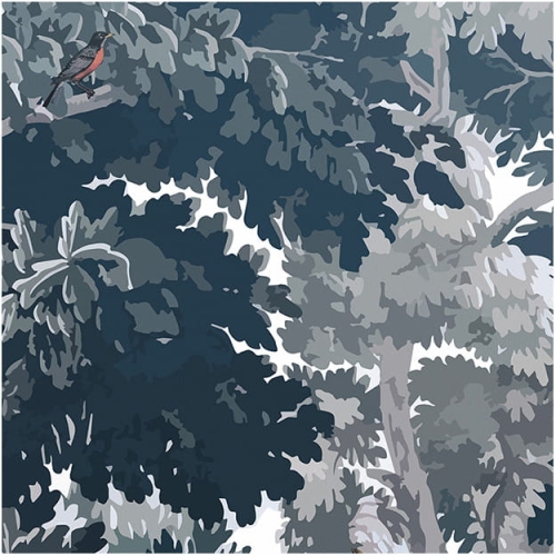 dream-forest (2).jpg