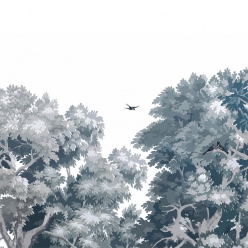 dream-forest (1).jpg