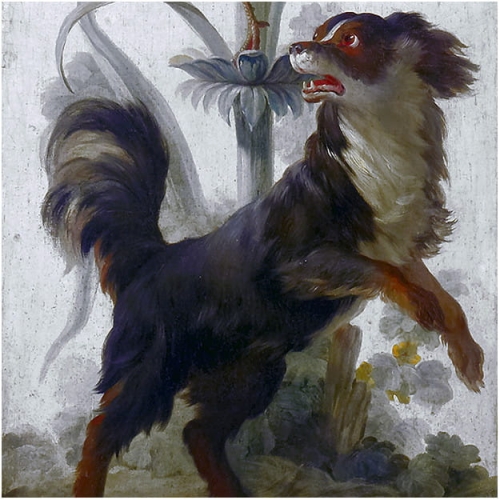 animals-panels-reed-with-dog (2).jpg