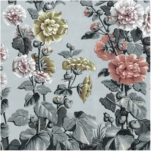 holly-hock (1).jpg