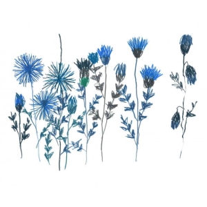 Grafika Les Dominotiers VOLUME 4 Bleuets DOM1519