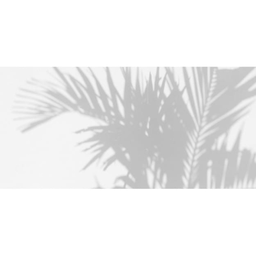 palm-shadow.jpg