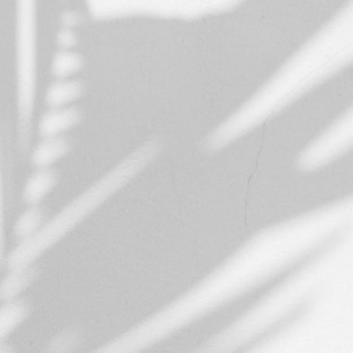 palm-shadow (2).jpg