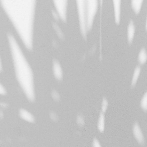 palm-shadow (3).jpg