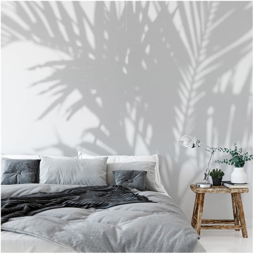 palm-shadow (5).jpg