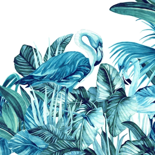 everglades-turquoise (4).jpg