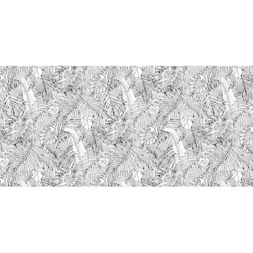 jungle-island-black-and-white.jpg