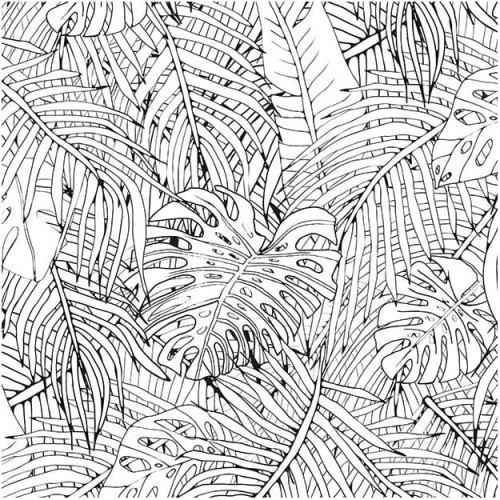 jungle-island-black-and-white (1).jpg