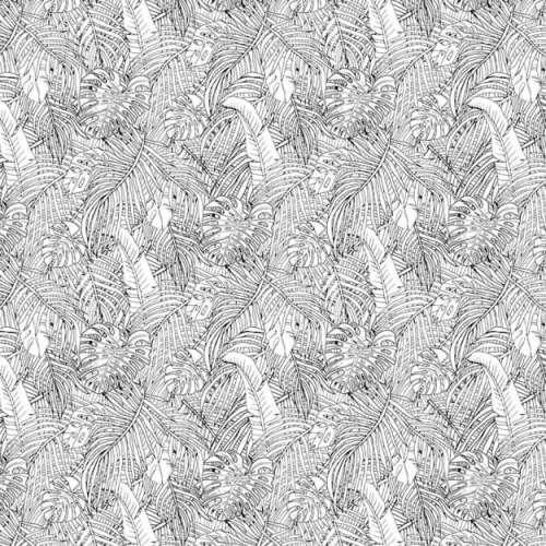 jungle-island-black-and-white (2).jpg