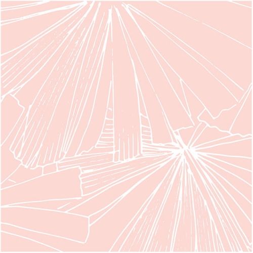 sagamore-pink (1).jpg