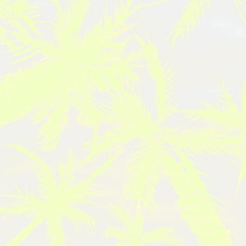royal-palm-yellow.jpg