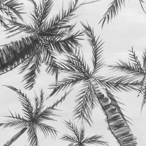 royal-palm-grey (3).jpg