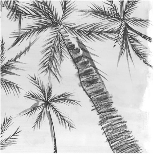 royal-palm-grey (1).jpg