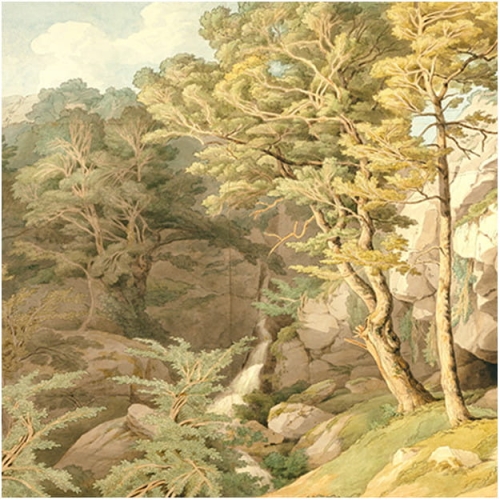 devon (1).jpg