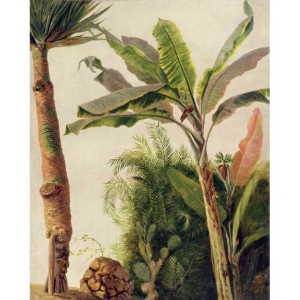 Grafika Les Dominotiers VOLUME 2 Banana Tree DOM12/12