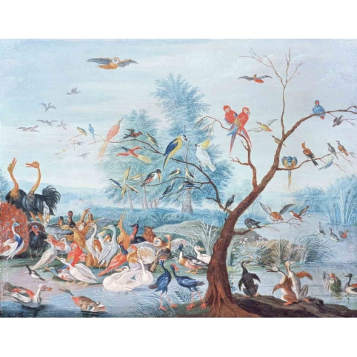 tropical-birds.jpg