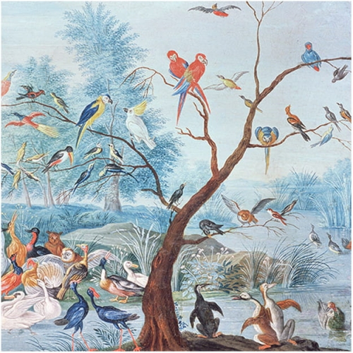 tropical-birds (1).jpg