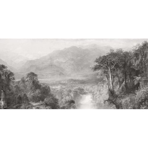 le-coeur-des-andes.jpg