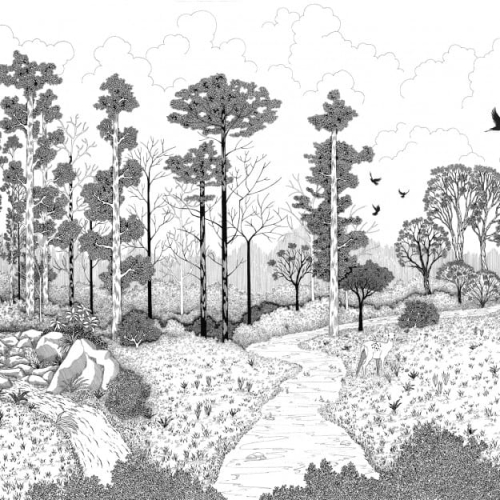 la-biche-aux-bois- (2).jpg