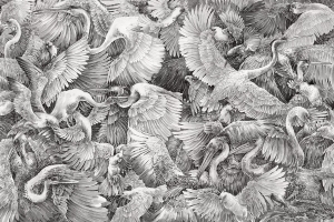 Grafika Lorenso Paravis TPA 0224 0064 02