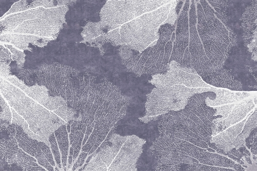 1713444140.0784.jpg