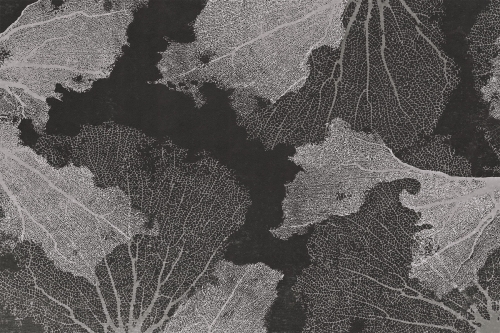 1713444147.6178.jpg