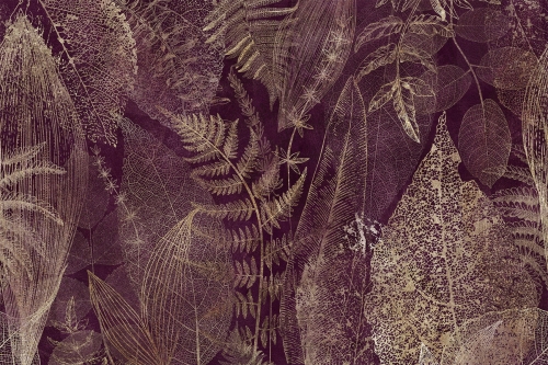 1711437690.7796.jpg