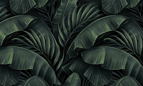 0016-2-EXOTIC ELEGEANCE_web.jpg