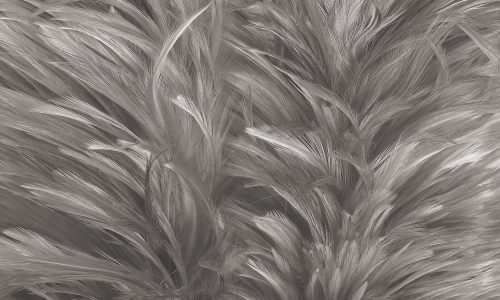 0018-1- SOFT TOUCH_web.jpg