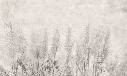 0029-1-MORNING MIST_web.jpg