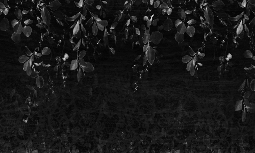 0033-1- HANGING LEAVES_web.jpg