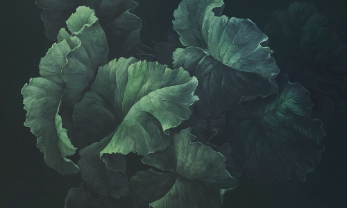 0037-1-GREEN LUSH_web.jpg