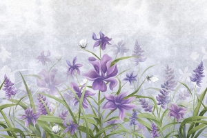 Grafika Lorenso Iris TPA 0124 0047 00